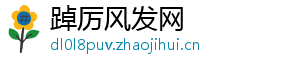踔厉风发网